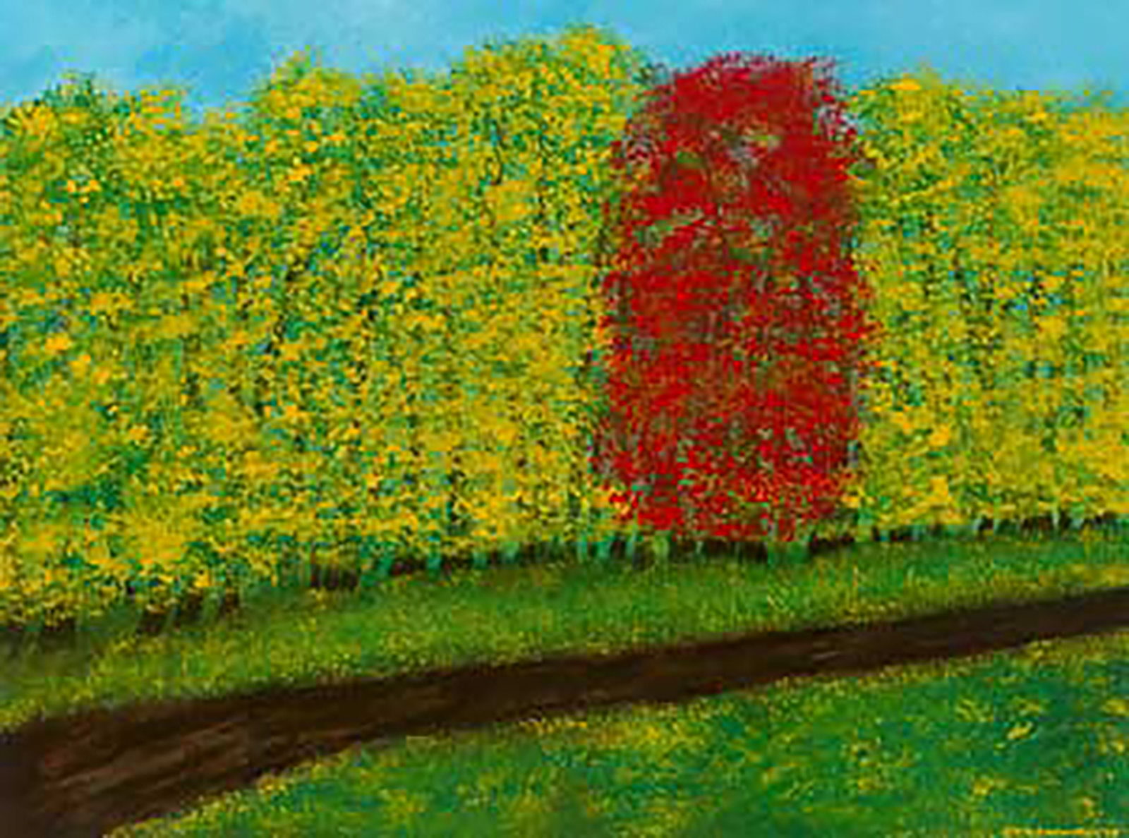 Hillary Klein Lone Maple Among The Ashes