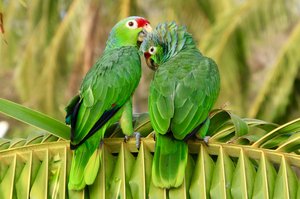 entry_611803_piece_2273222_Lesley_Husband