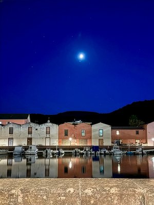 entry_612554_piece_2275257_John_Gentile