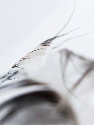 entry_612739_piece_2275827_Sandra_Felt